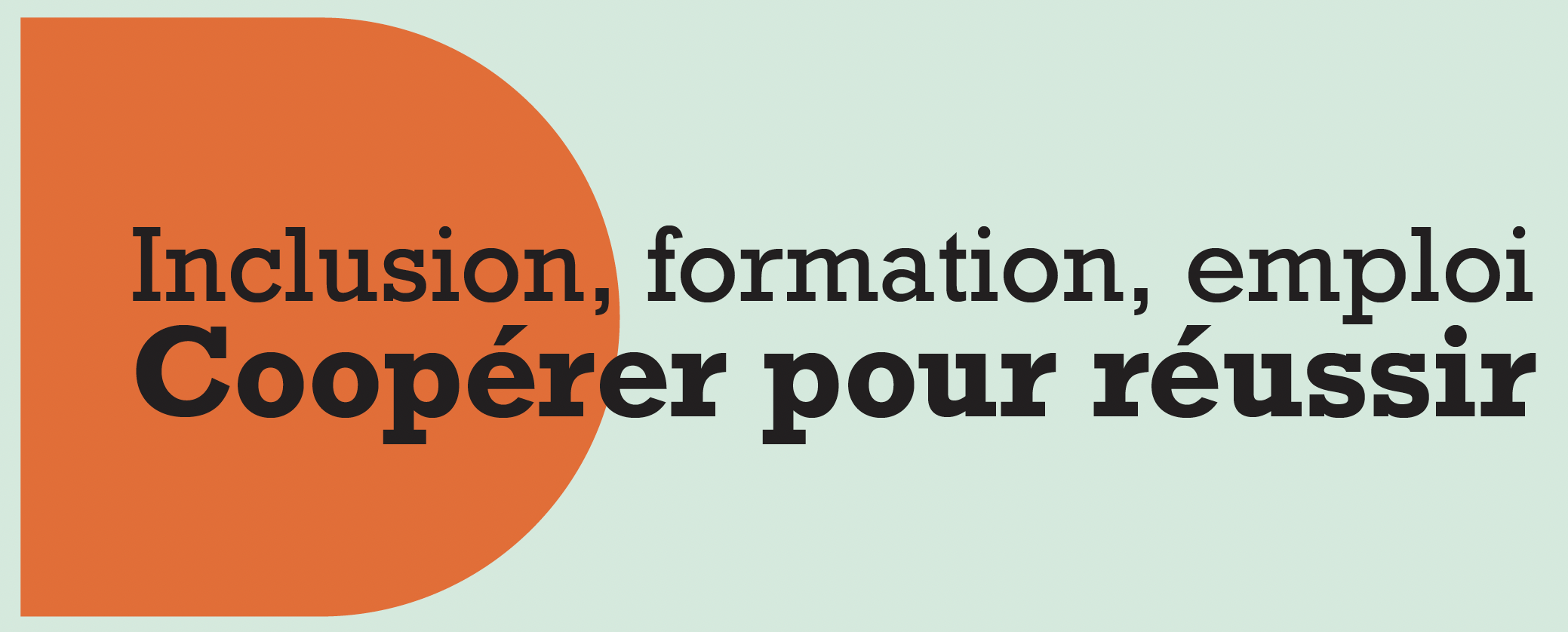 Inclusion, formation, emploi : coopérer pour réussir